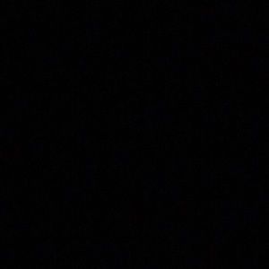 Meet your Posher, Warren